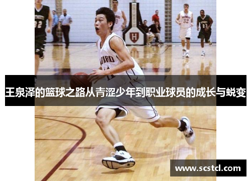 王泉泽的篮球之路从青涩少年到职业球员的成长与蜕变